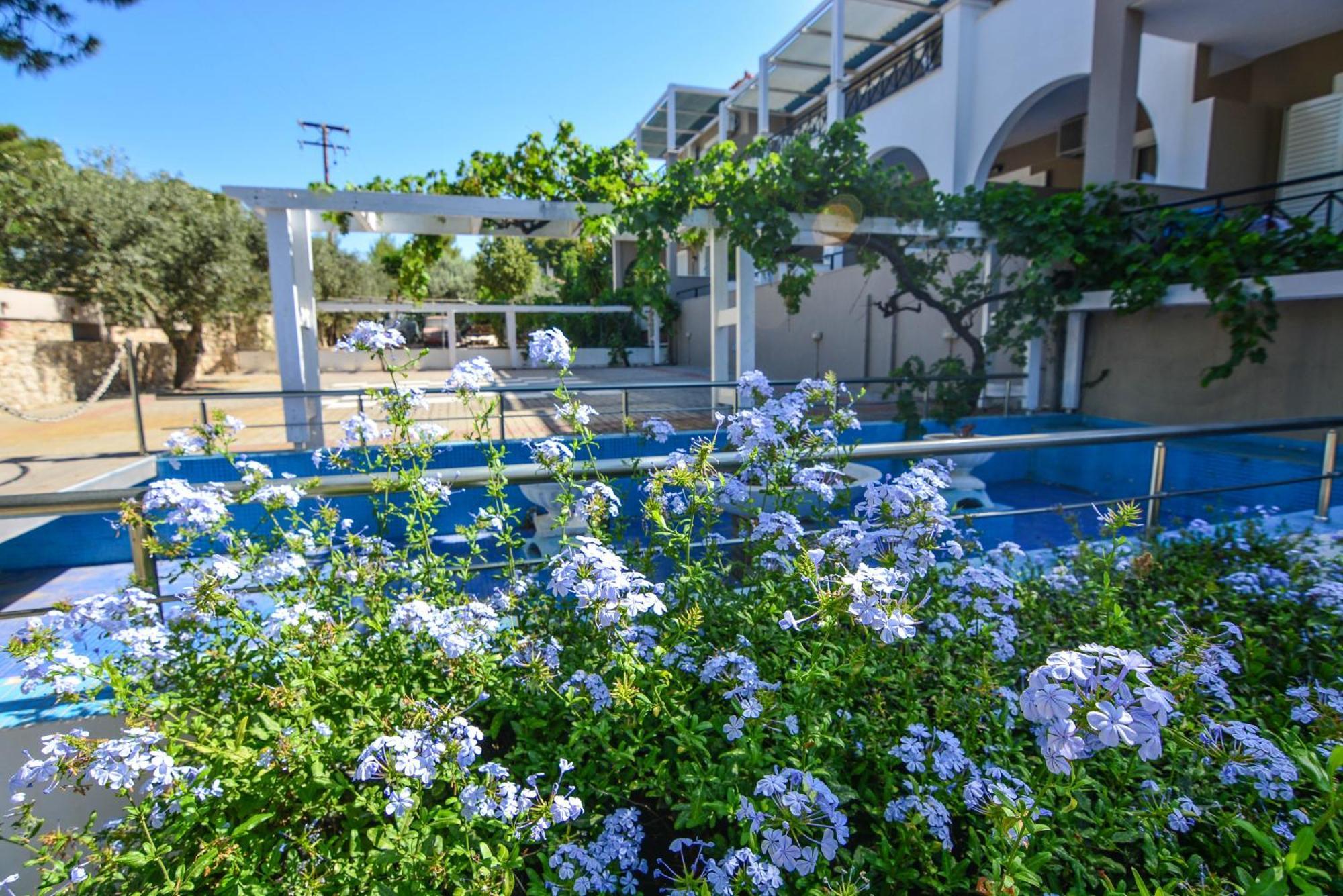 Epavlis Beach Resort Porto Heli Ngoại thất bức ảnh